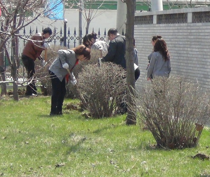 亚洲狼人伊人中文字幕